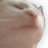 catjam.top favicon