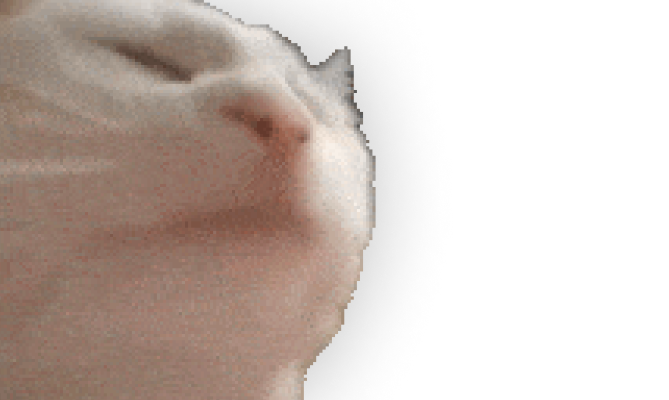 CATJAM